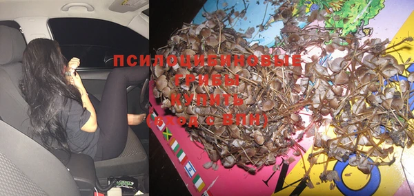 spice Кодинск