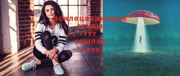 мет Козловка