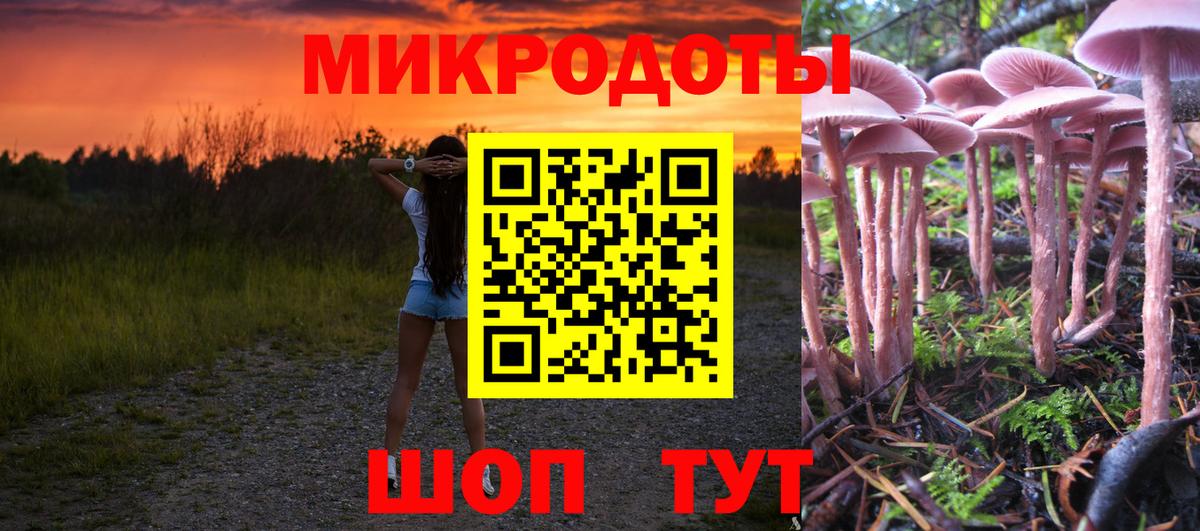 Псилоцибиновые грибы Magic Shrooms Зима