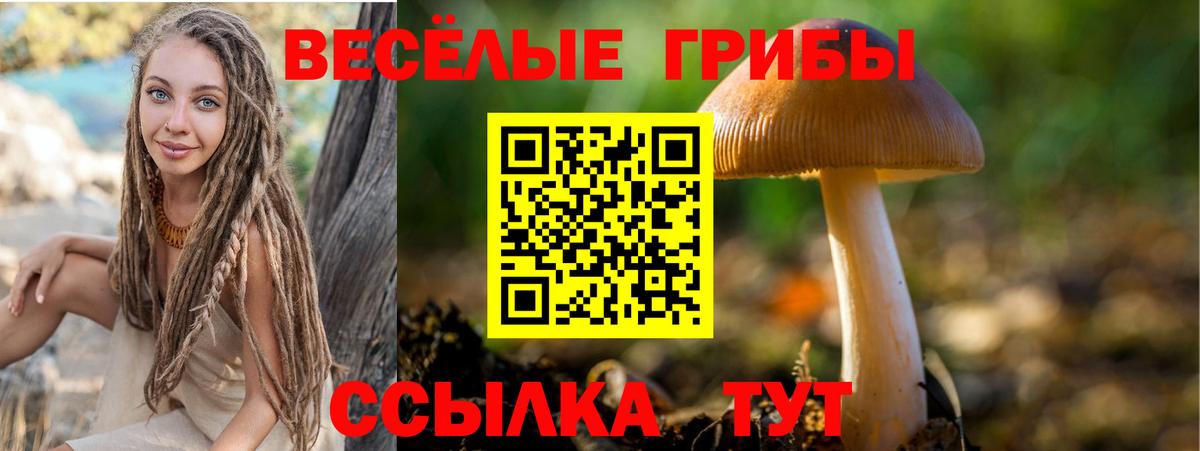 Галлюциногенные грибы Magic Shrooms  Вход с VPN  Зима 