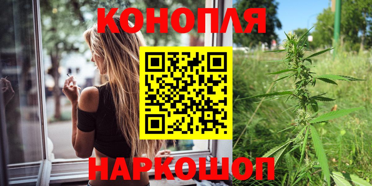 Бошки марихуана планчик Зима